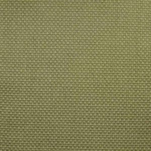 2099-00005 Nature - Valencia Green